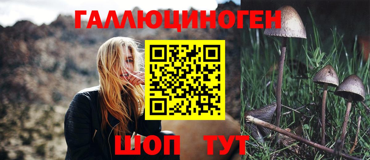 Псилоцибиновые грибы мухоморы  цены наркотик  Йошкар-Ола  Вход с VPN  Галлюциногенные грибы мухоморы 