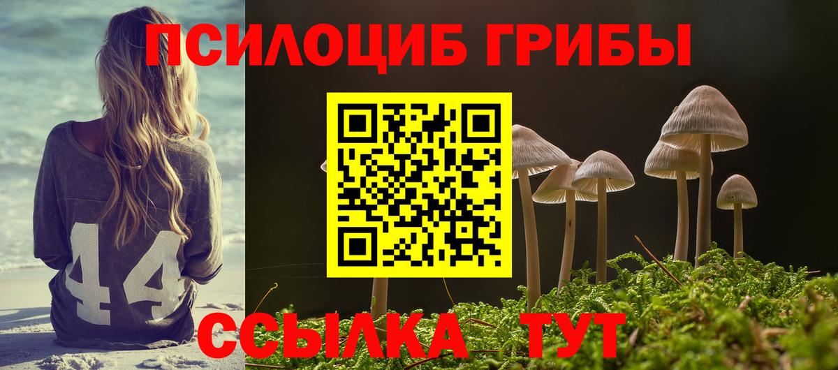Псилоцибиновые грибы Psilocybine cubensis Йошкар-Ола